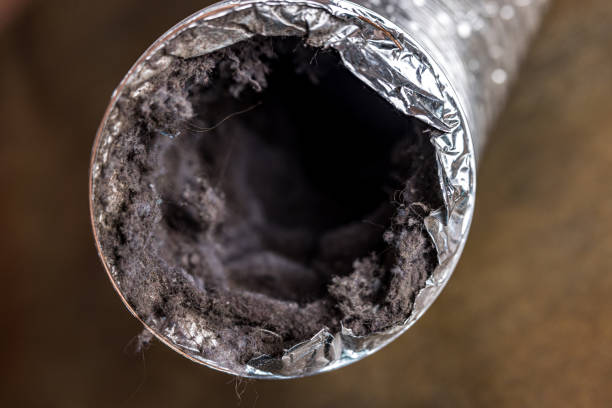 Best Local Air Duct Cleaning Services  in Anaconda, MT