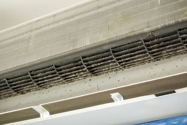 Best Affordable Air Duct Cleaning  in Anaconda, MT